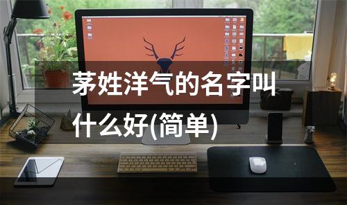 茅姓洋气的名字叫什么好(简单)