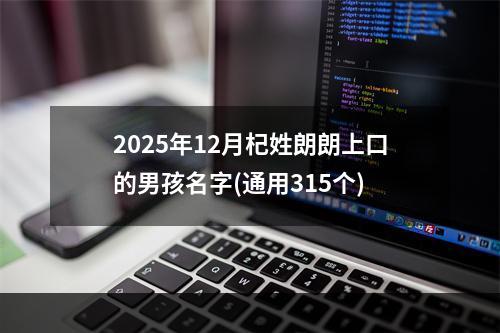 2025年12月杞姓朗朗上口的男孩名字(通用315个)