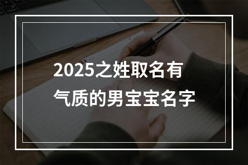 2025之姓取名有气质的男宝宝名字