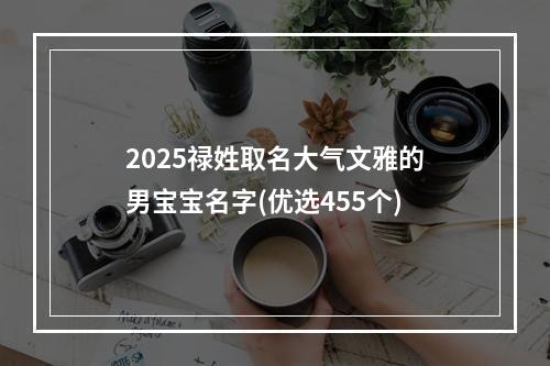 2025禄姓取名大气文雅的男宝宝名字(优选455个)