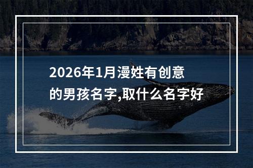 2026年1月漫姓有创意的男孩名字,取什么名字好