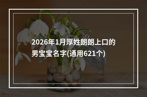 2026年1月厚姓朗朗上口的男宝宝名字(通用621个)