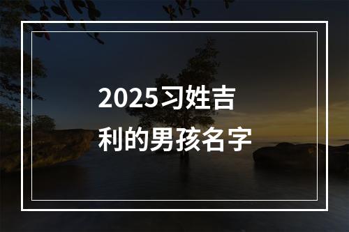 2025习姓吉利的男孩名字