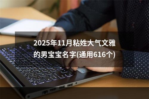 2025年11月粘姓大气文雅的男宝宝名字(通用616个)