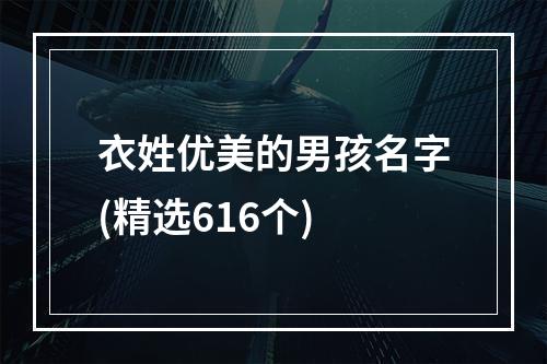衣姓优美的男孩名字(精选616个)