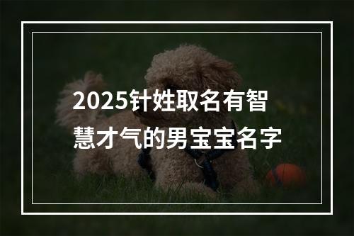2025针姓取名有智慧才气的男宝宝名字