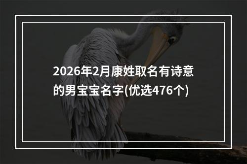 2026年2月康姓取名有诗意的男宝宝名字(优选476个)
