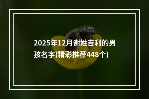 2025年12月谢姓吉利的男孩名字(精彩推荐448个)