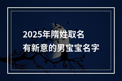 2025年隋姓取名有新意的男宝宝名字