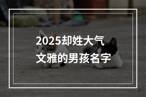 2025却姓大气文雅的男孩名字