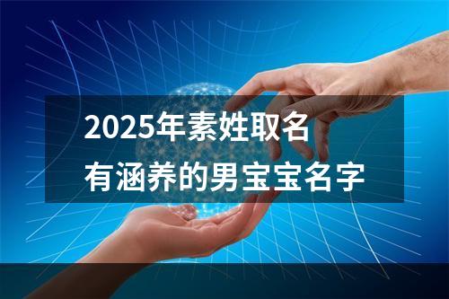 2025年素姓取名有涵养的男宝宝名字