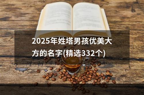 2025年姓塔男孩优美大方的名字(精选332个)