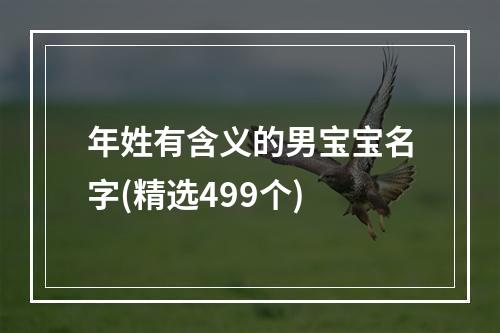 年姓有含义的男宝宝名字(精选499个)