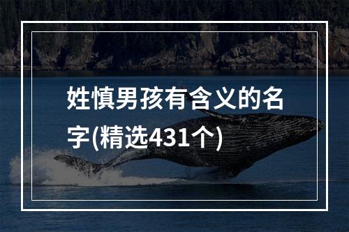 姓慎男孩有含义的名字(精选431个)