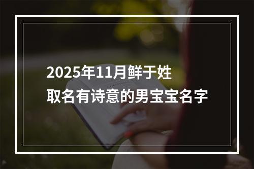 2025年11月鲜于姓取名有诗意的男宝宝名字