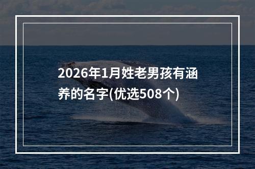 2026年1月姓老男孩有涵养的名字(优选508个)