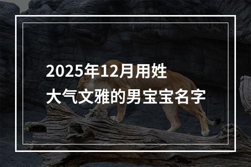 2025年12月用姓大气文雅的男宝宝名字
