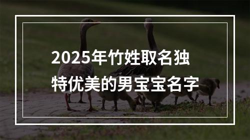 2025年竹姓取名独特优美的男宝宝名字