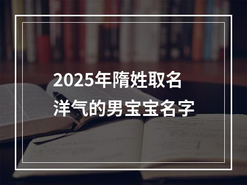 2025年隋姓取名洋气的男宝宝名字