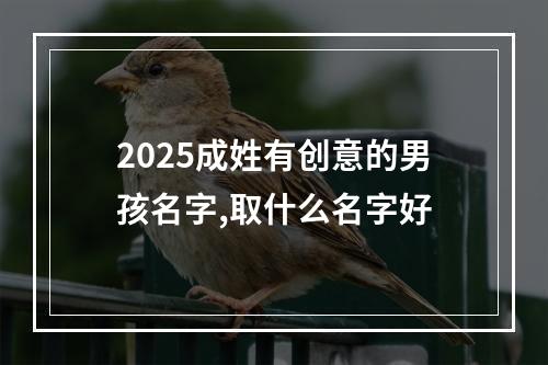 2025成姓有创意的男孩名字,取什么名字好