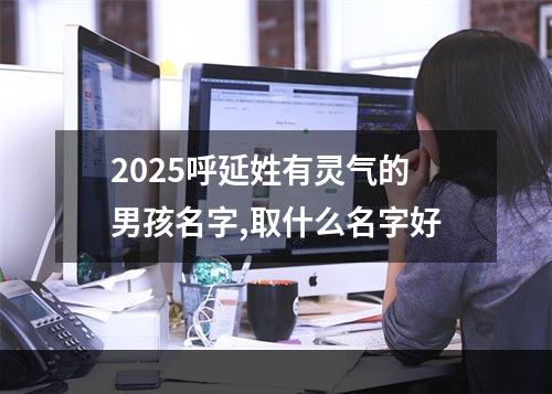 2025呼延姓有灵气的男孩名字,取什么名字好