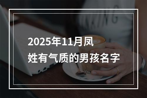 2025年11月凤姓有气质的男孩名字