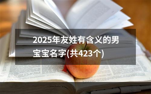 2025年友姓有含义的男宝宝名字(共423个)