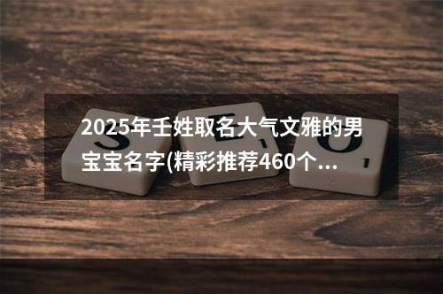 2025年壬姓取名大气文雅的男宝宝名字(精彩推荐460个)