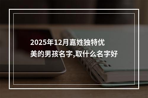 2025年12月嘉姓独特优美的男孩名字,取什么名字好