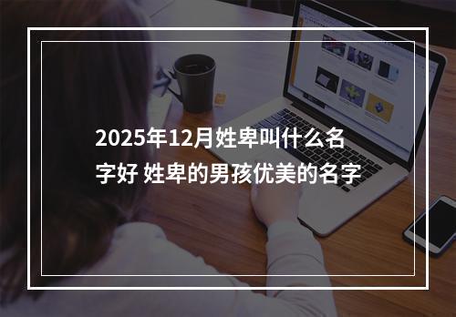 2025年12月姓卑叫什么名字好 姓卑的男孩优美的名字