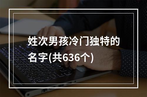 姓次男孩冷门独特的名字(共636个)