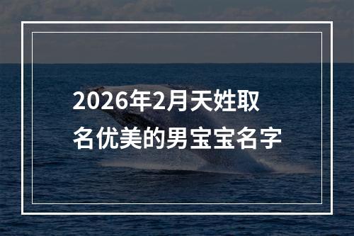 2026年2月天姓取名优美的男宝宝名字