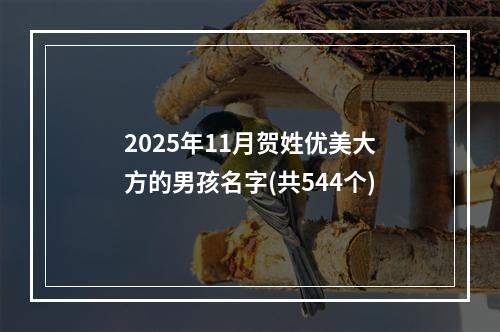 2025年11月贺姓优美大方的男孩名字(共544个)