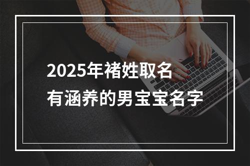 2025年褚姓取名有涵养的男宝宝名字
