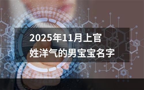 2025年11月上官姓洋气的男宝宝名字