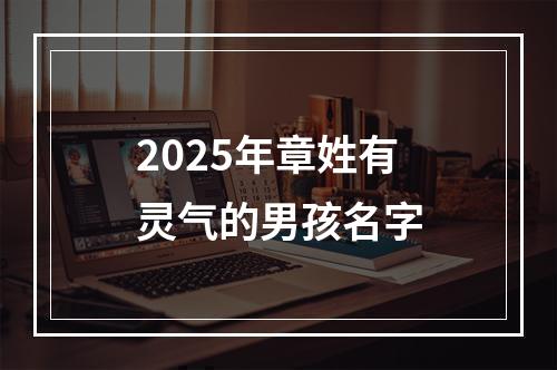 2025年章姓有灵气的男孩名字