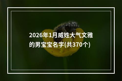 2026年1月威姓大气文雅的男宝宝名字(共370个)