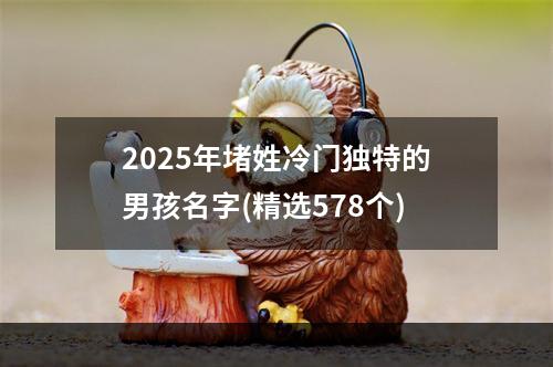 2025年堵姓冷门独特的男孩名字(精选578个)
