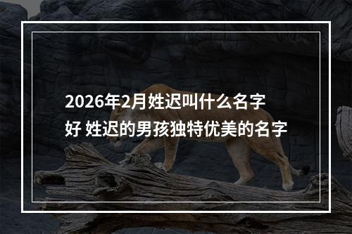 2026年2月姓迟叫什么名字好 姓迟的男孩独特优美的名字