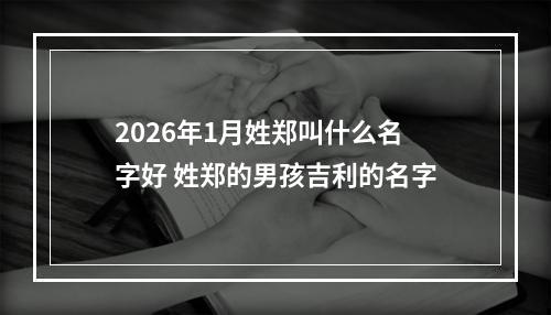 2026年1月姓郑叫什么名字好 姓郑的男孩吉利的名字