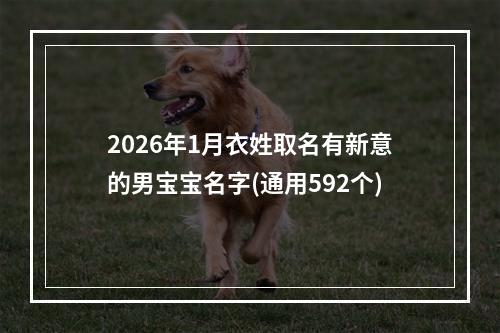 2026年1月衣姓取名有新意的男宝宝名字(通用592个)