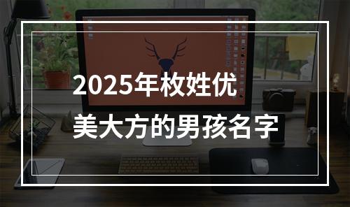 2025年枚姓优美大方的男孩名字