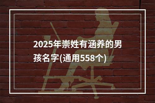 2025年崇姓有涵养的男孩名字(通用558个)