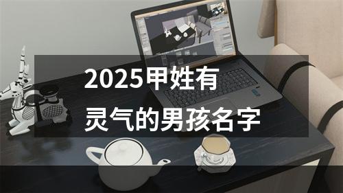 2025甲姓有灵气的男孩名字