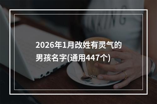 2026年1月改姓有灵气的男孩名字(通用447个)