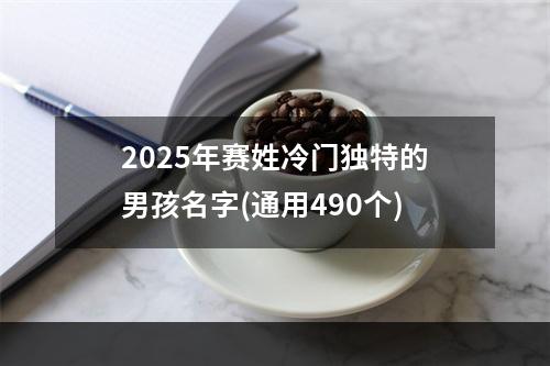 2025年赛姓冷门独特的男孩名字(通用490个)