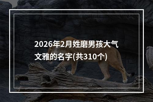 2026年2月姓磨男孩大气文雅的名字(共310个)