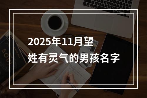 2025年11月望姓有灵气的男孩名字