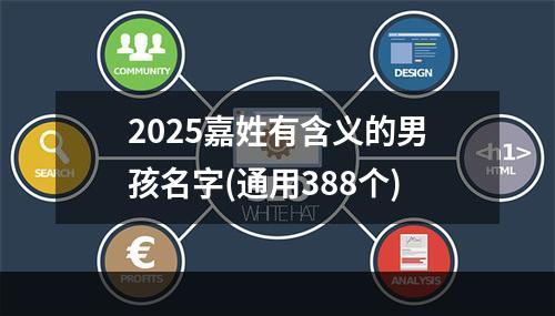 2025嘉姓有含义的男孩名字(通用388个)