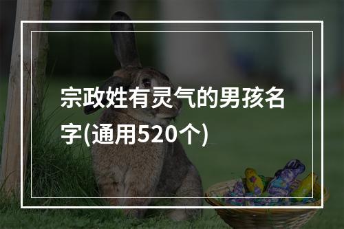 宗政姓有灵气的男孩名字(通用520个)